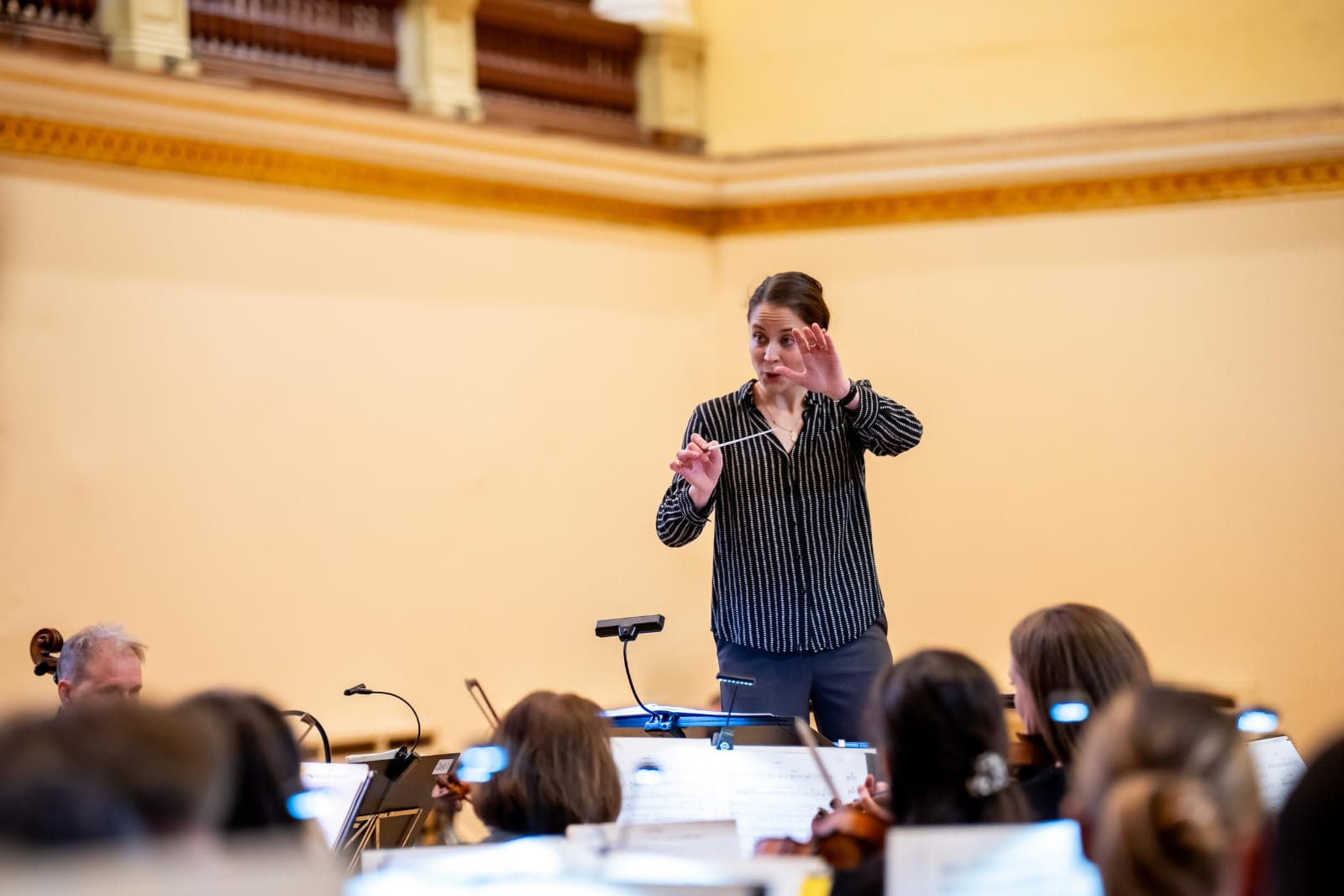 karmesterverseny (2).jpg